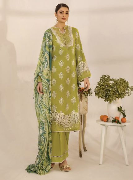Adan’s Chikankari Embroidered - D3